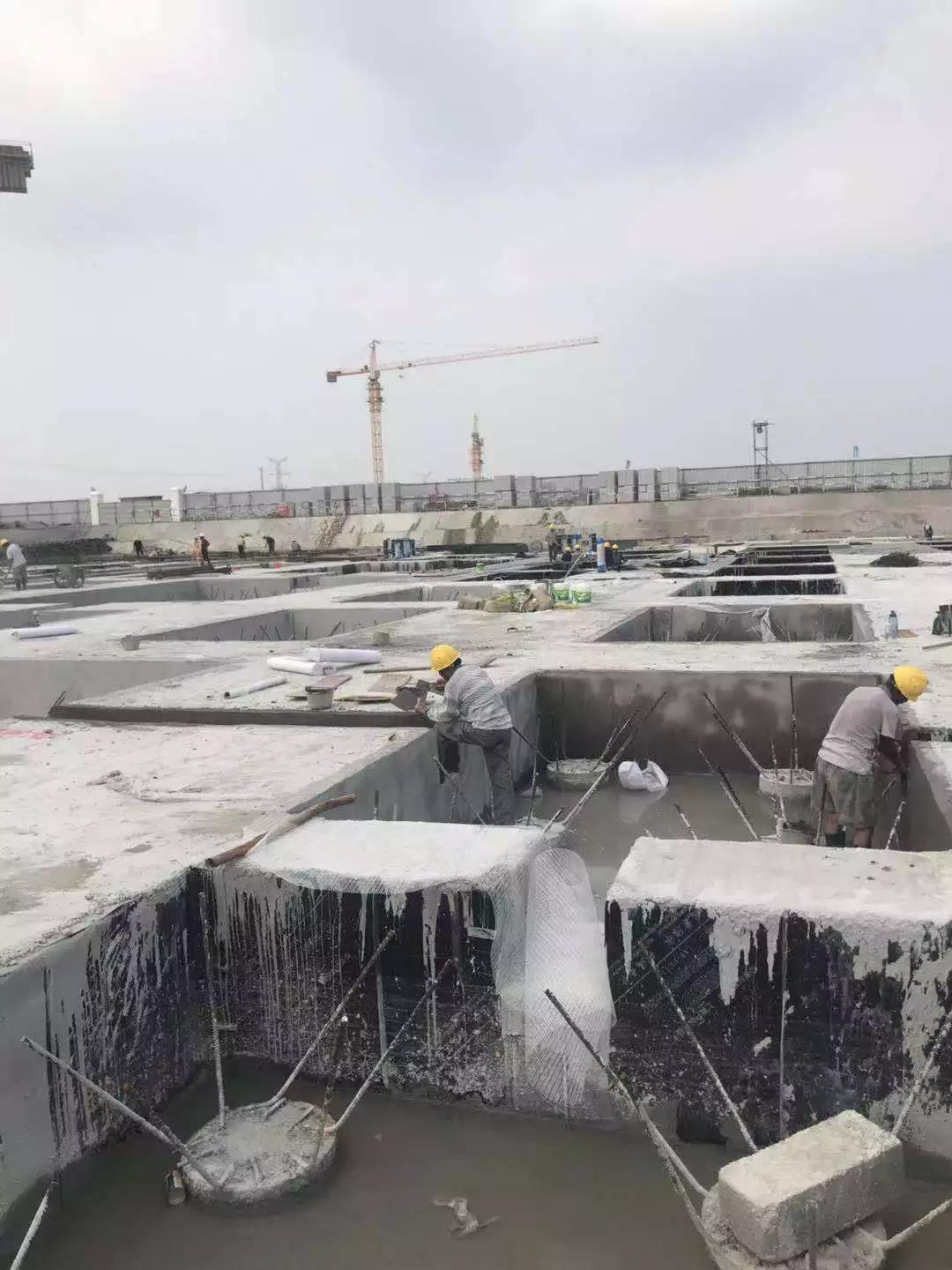 2024新澳门网址